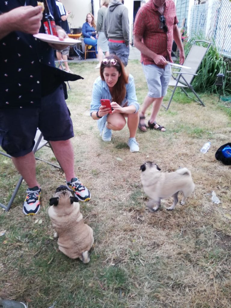Double The Pugs Double The Fun.