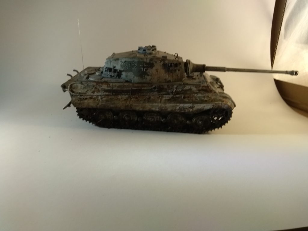 King Tiger First Picture In Homemade Light Box