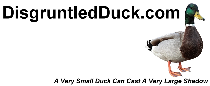 Disgruntled Duck