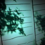 New Garden Fence